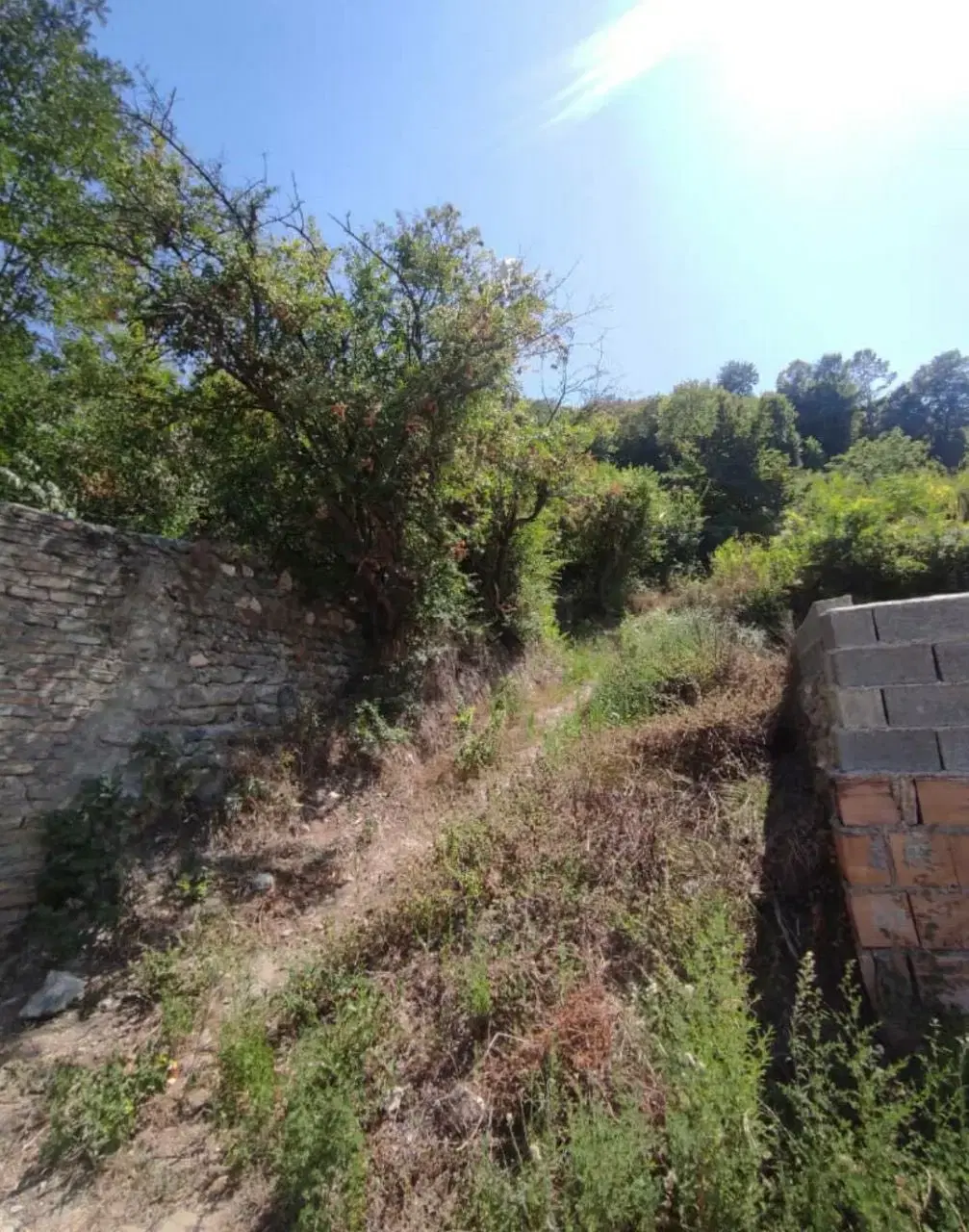 ۴۵۰ متر زمین مسکونی در روستای قلندر ایش بالاجاده
