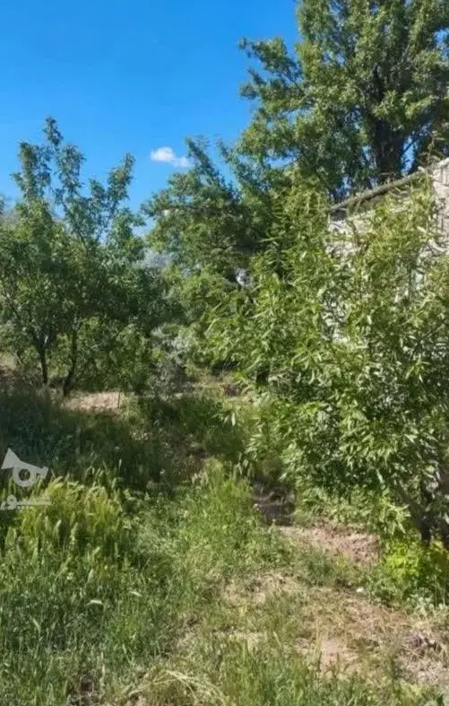زمین مسکونی