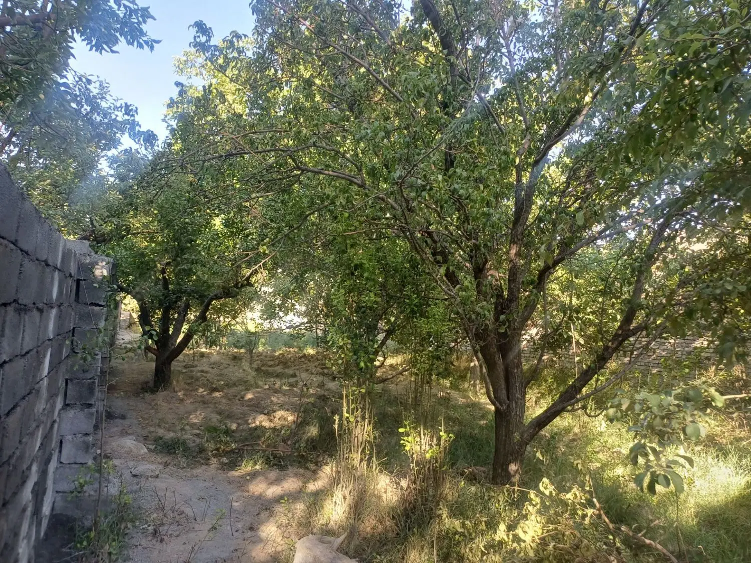 زمین داخل طرح روستا