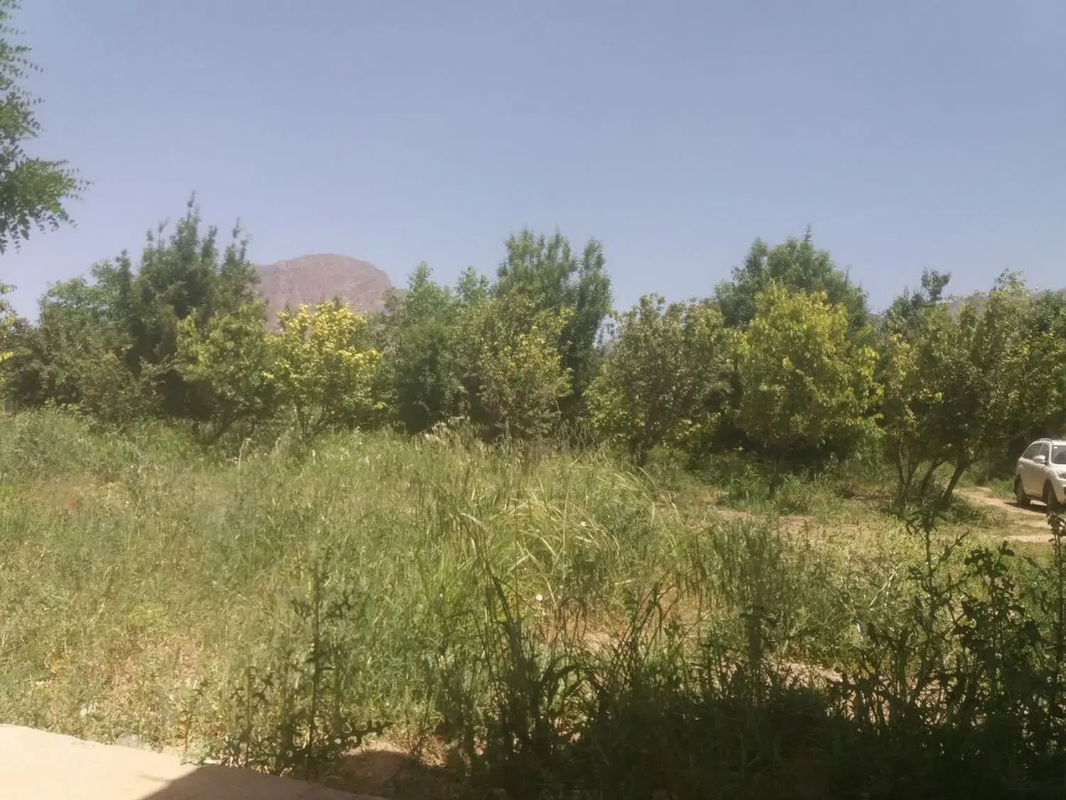 فروش و معاوضه 9 هزار متر زمین در عسگرآباد