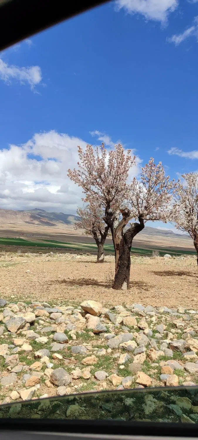 فروش زمین
