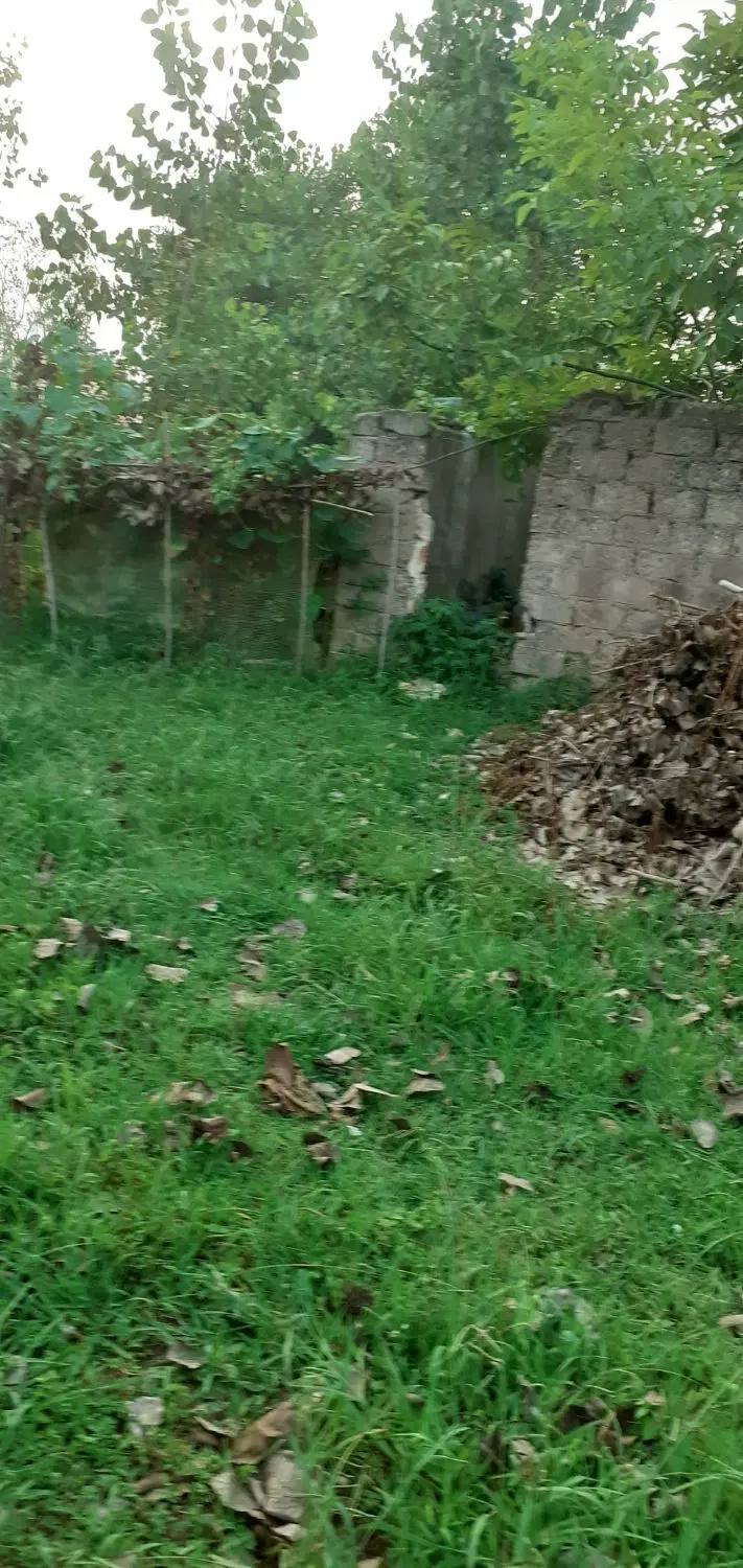 زمین مسکونی