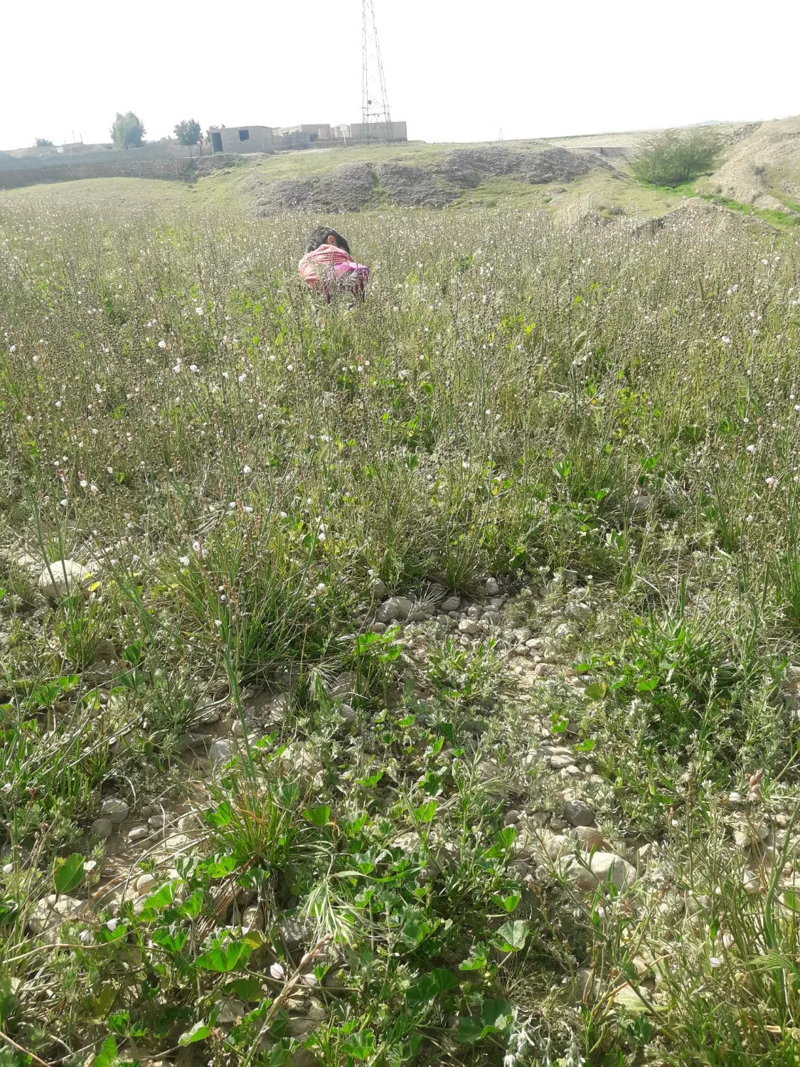 یک قطعه زمین به مساحت 256متر