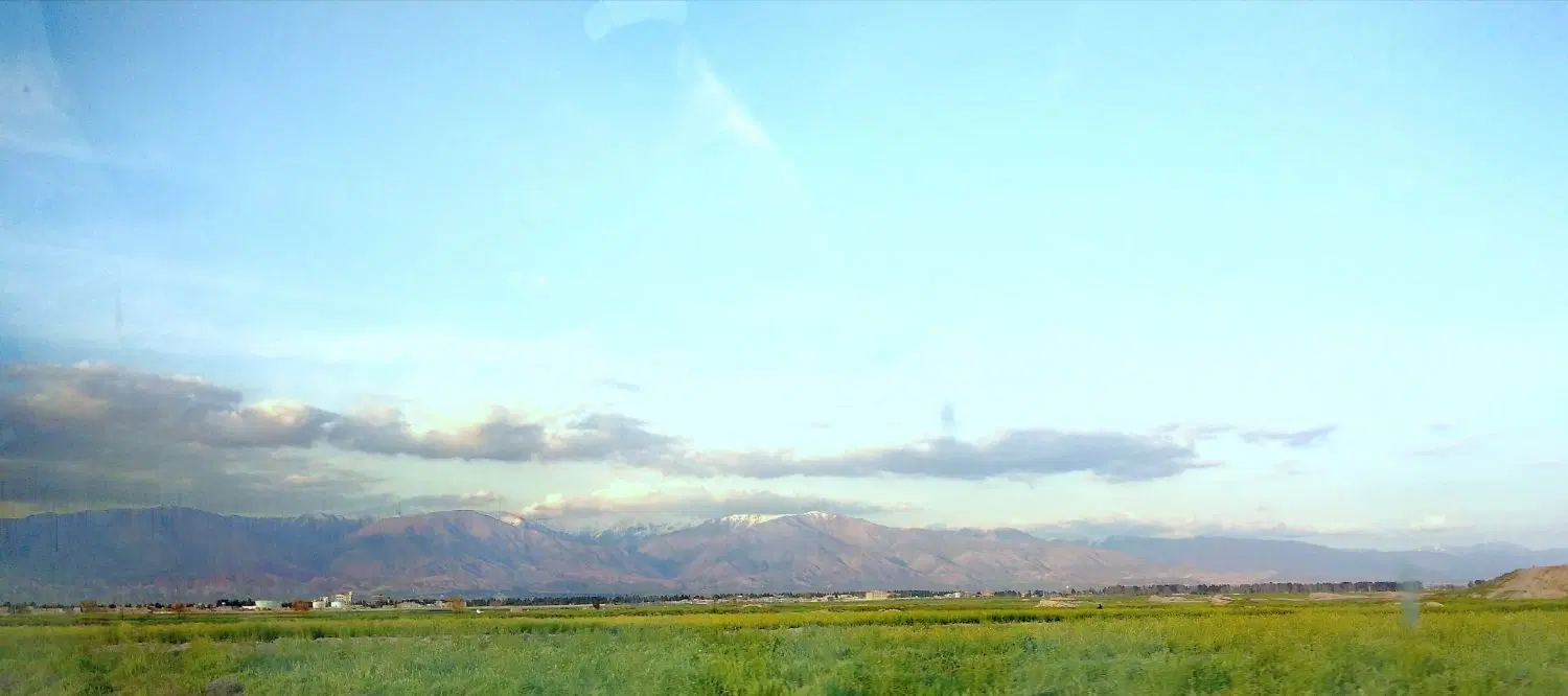 فروش 14000 متر زمین کشاورزی در روستای چهارباغ