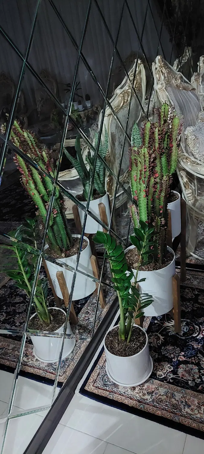 اجاره واحد ۸۸ متری