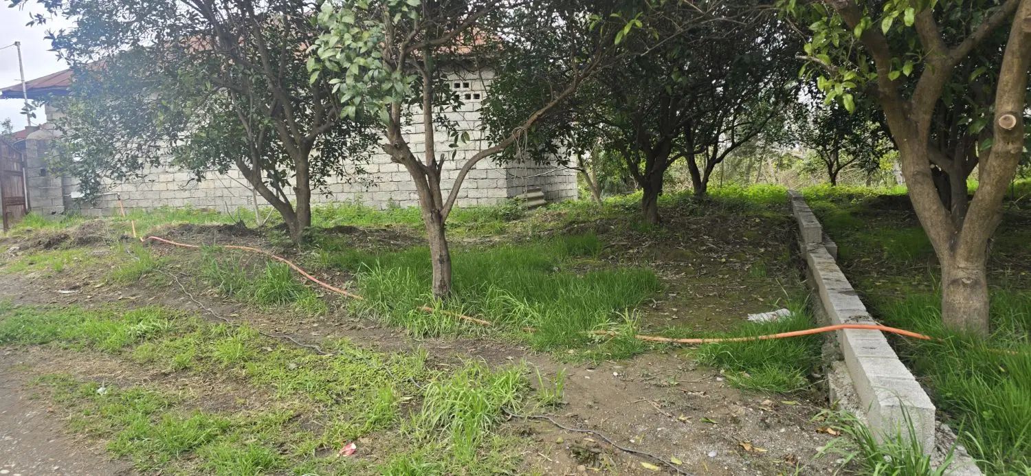 200 متر سند تکبرگ شهسوار