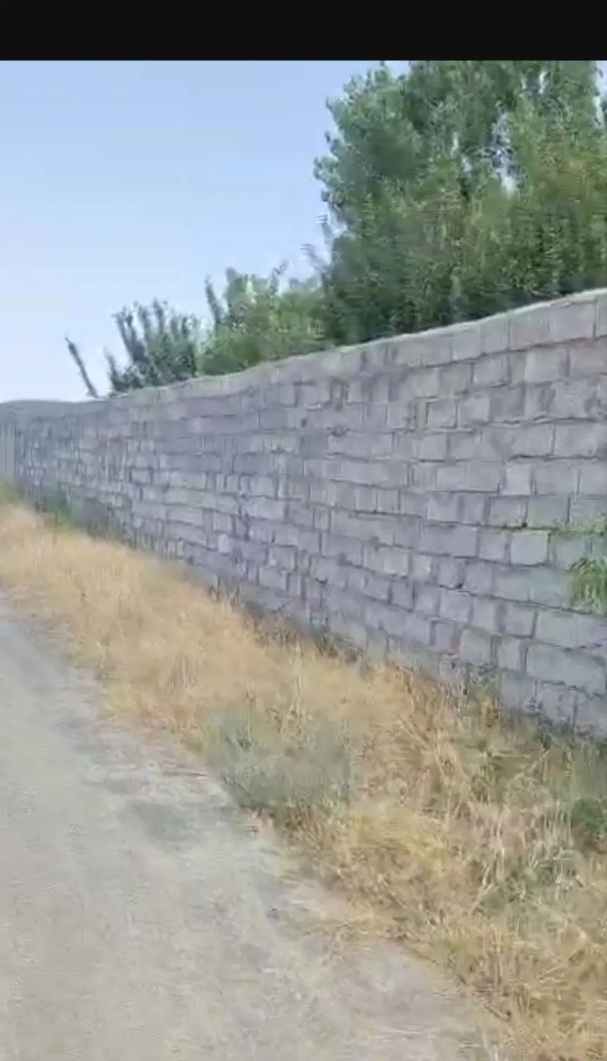 باغ دور دیوار
