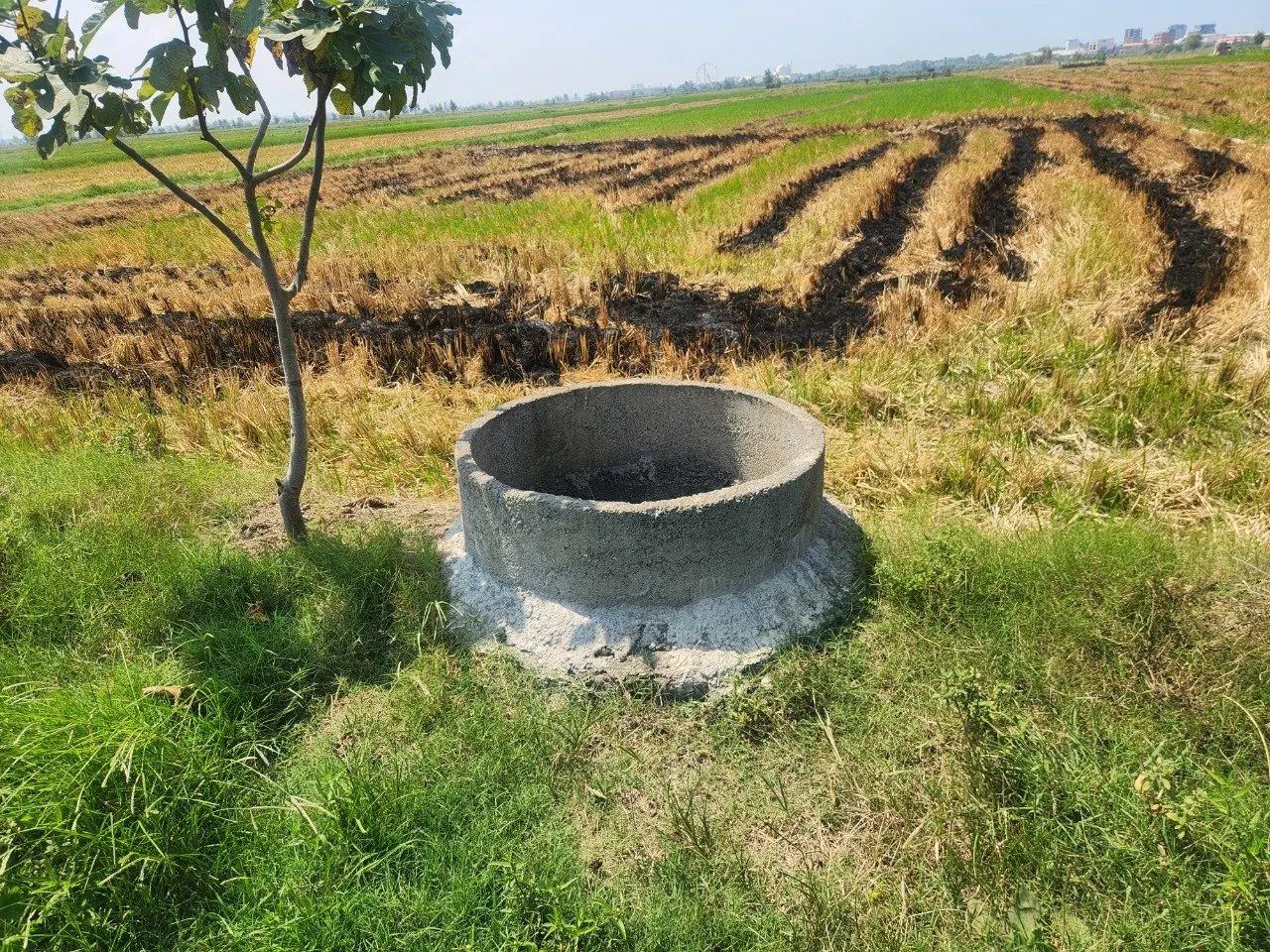 ۱۰۰۰ متر زمین کشاورزی