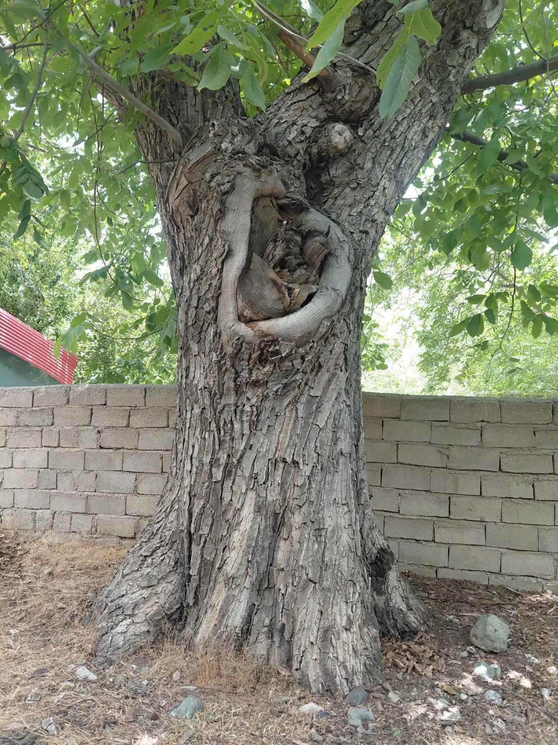 خانه باغ نزدیک مرکز شهر