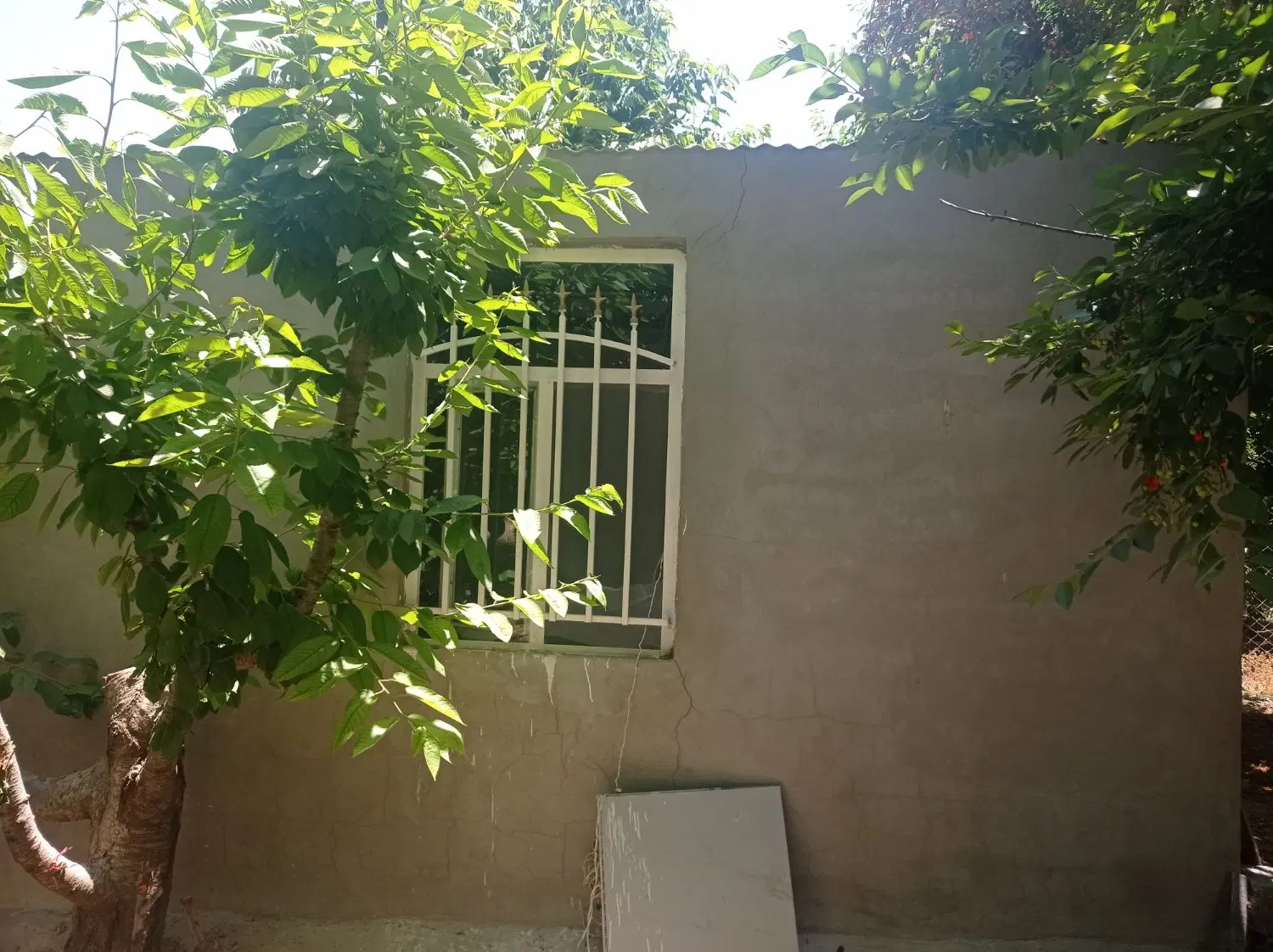 فروش باغ  در  کامیاران