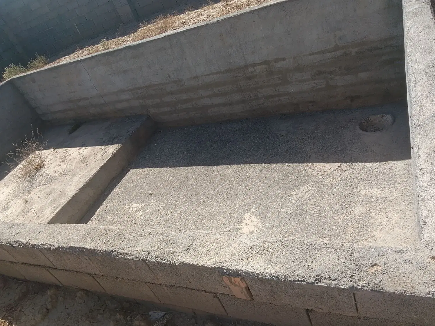 باغ