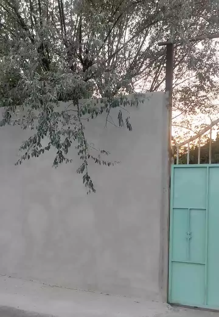 باغ ویلا