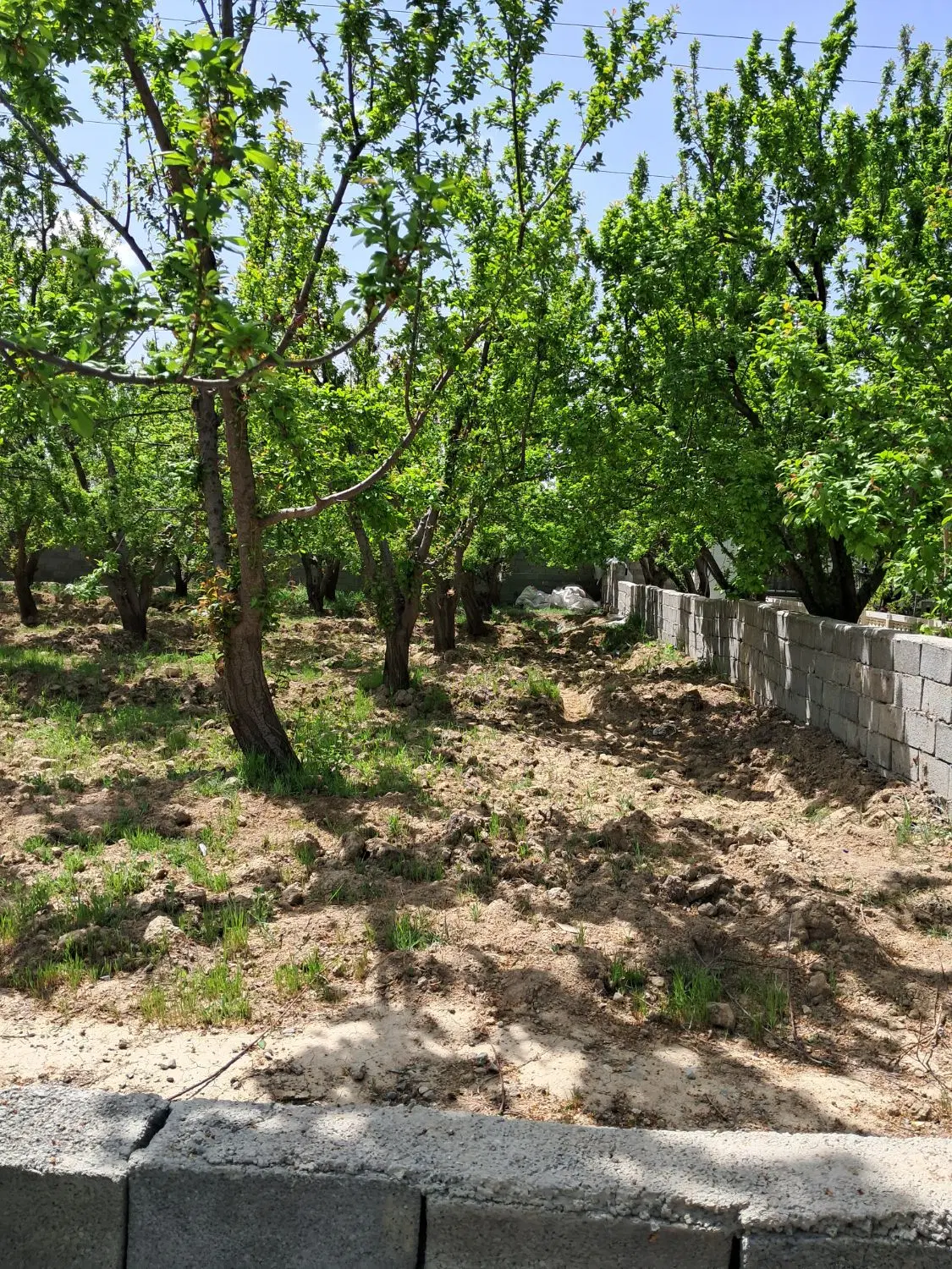 ۴۰۰متر باغچه چهاردیواری نامه جهاد وشهرداری