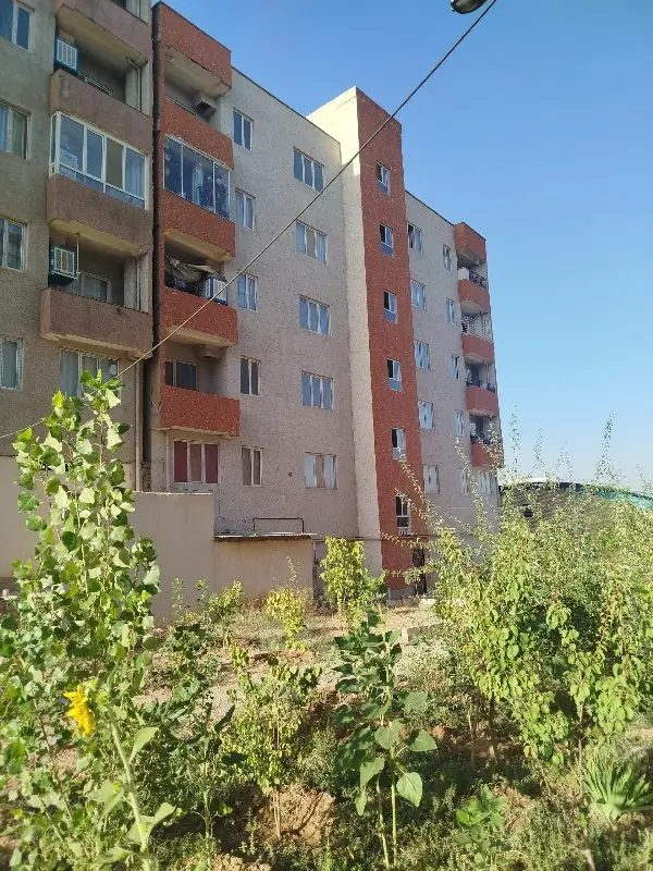 واحد خیابان سرزمین_وام و عرصه تسویه