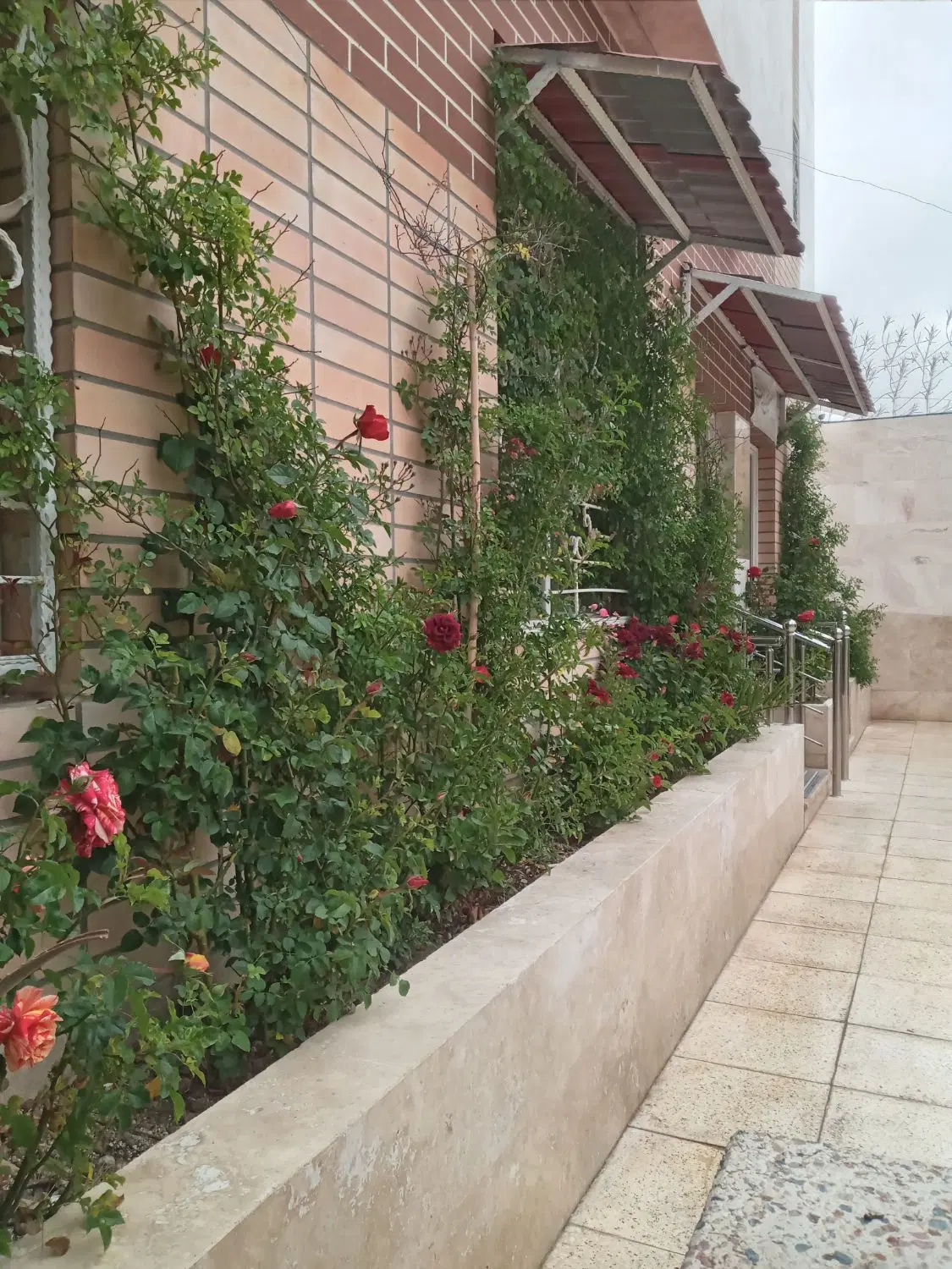 خیابان فردوسی ویلایی ۲۰۰ متر شمالی