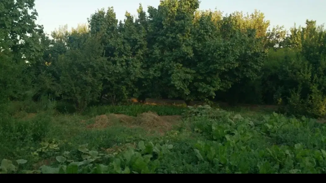 قیمت توافقی زمین دشت مبارکه