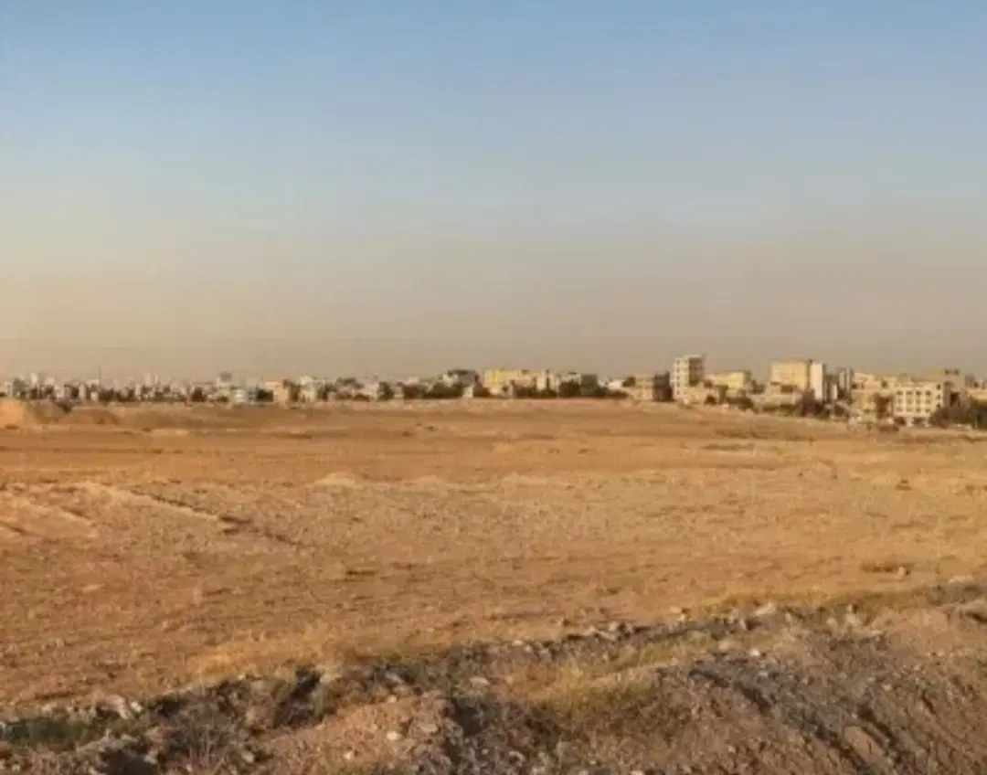 فیش اطبا