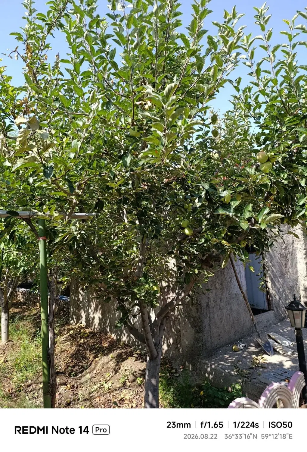 باغ ویلا