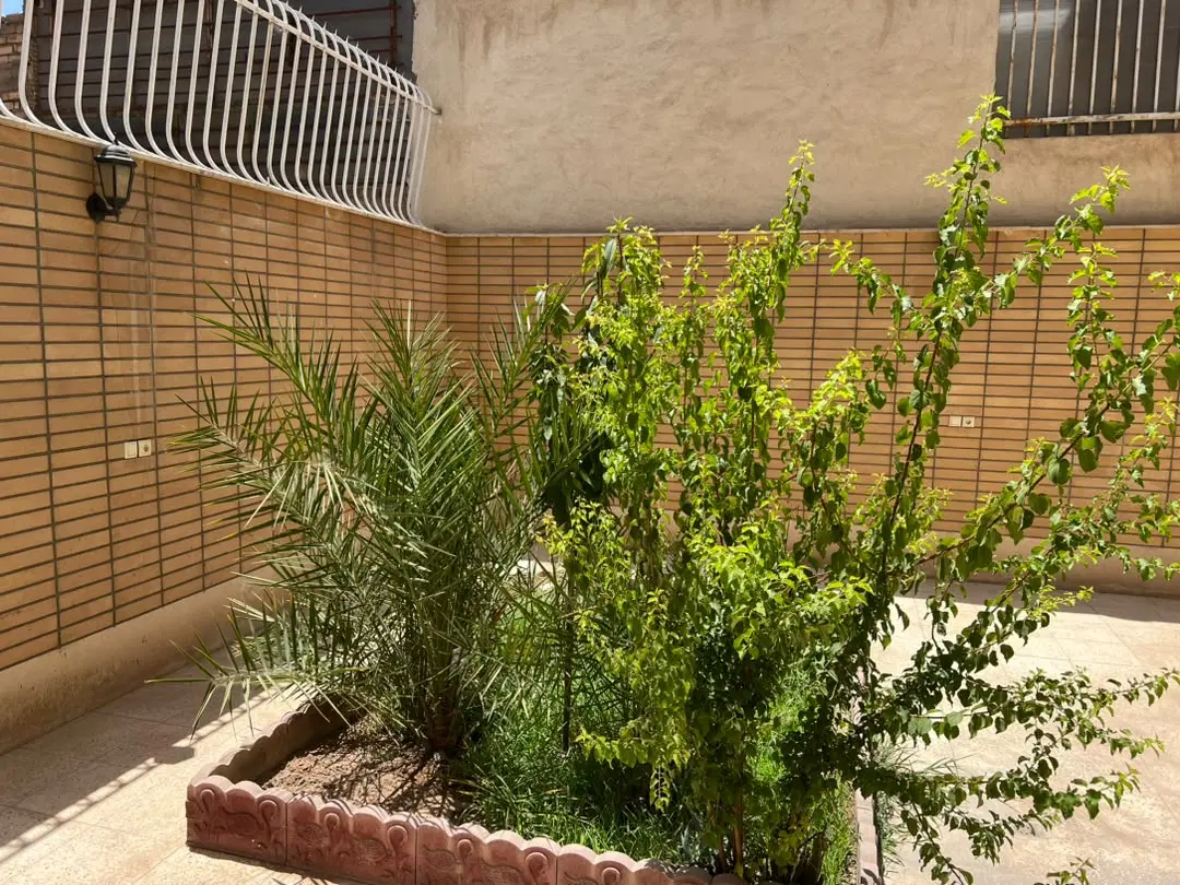 سه واحدی حیاط اقتصاصی