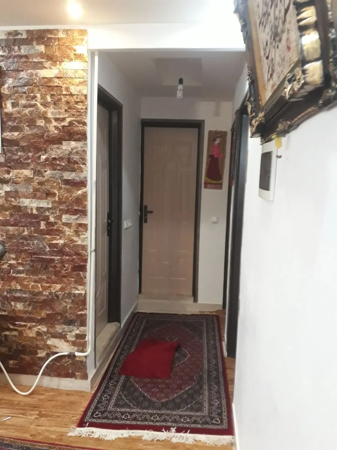 کارشناسان میدان کاج لاله3