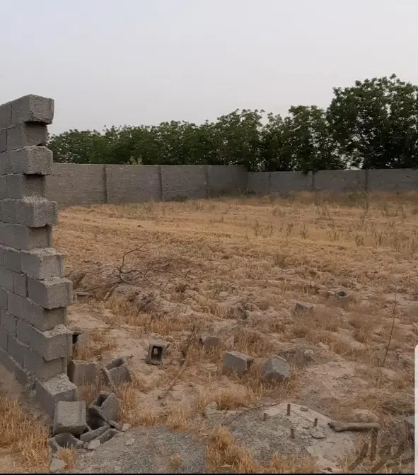 افشاریه