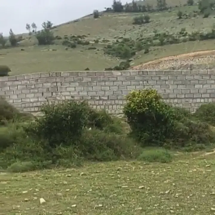 زمین ۳۵۰متری