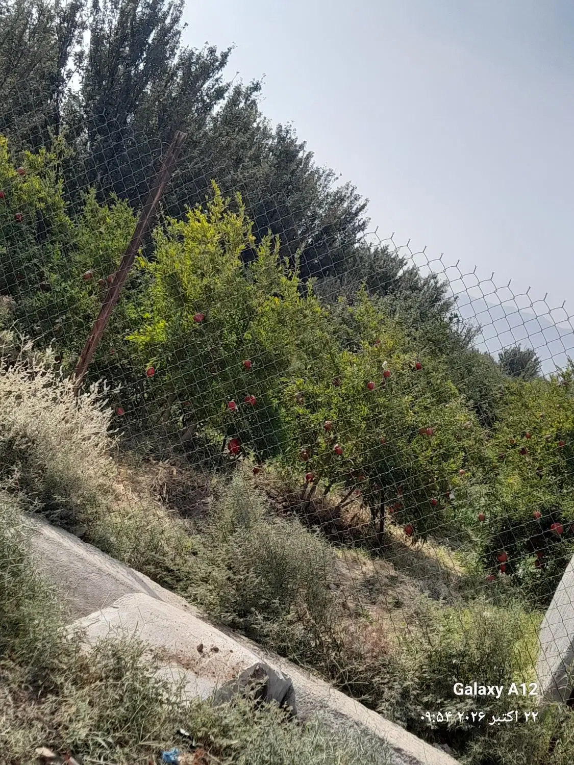 ۱۶۰متر زمین محلاتی