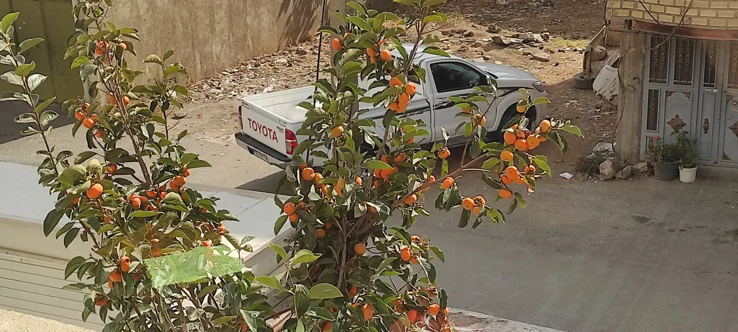 اجاره منزل 2 خوابه