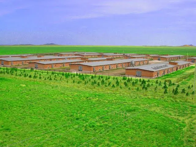 مجتمع صنعتی کشاورزی