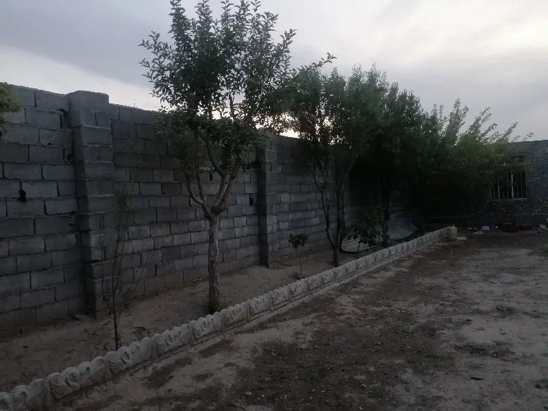 باغ توس97 الزهرای 41