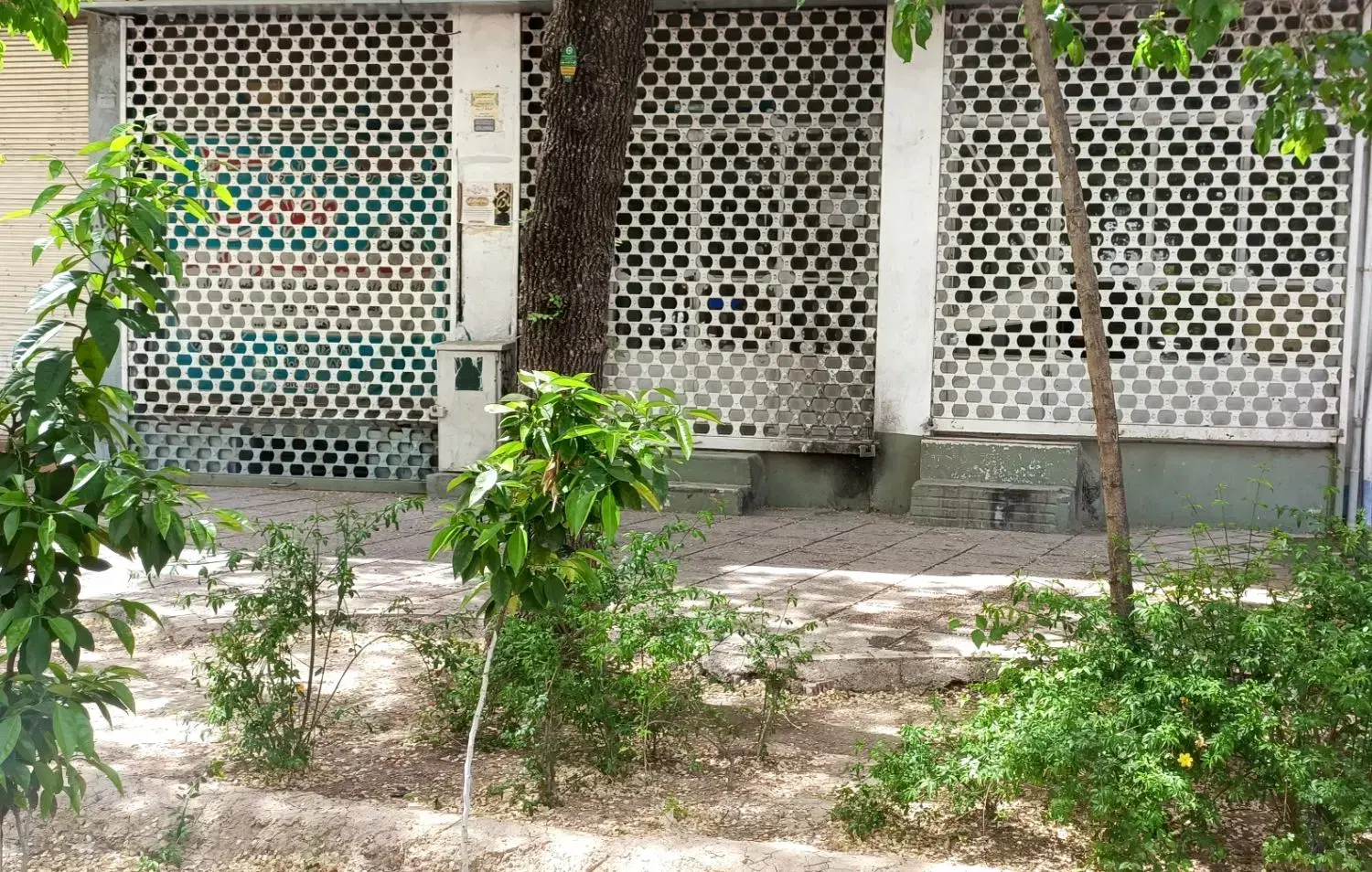 اجاره سه دهنه مغازه در شیراز بالا کفت
