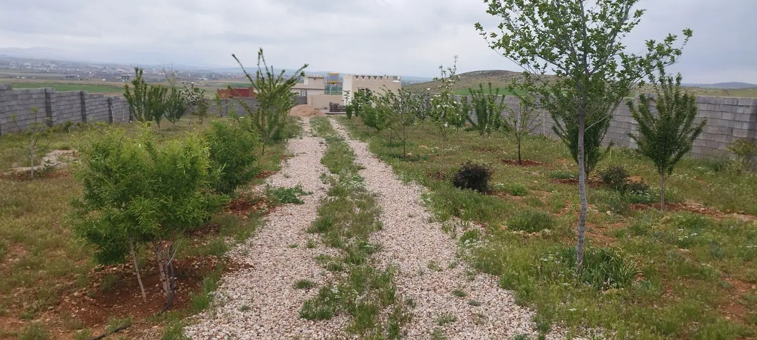 زمین باغ شهری آب پرده