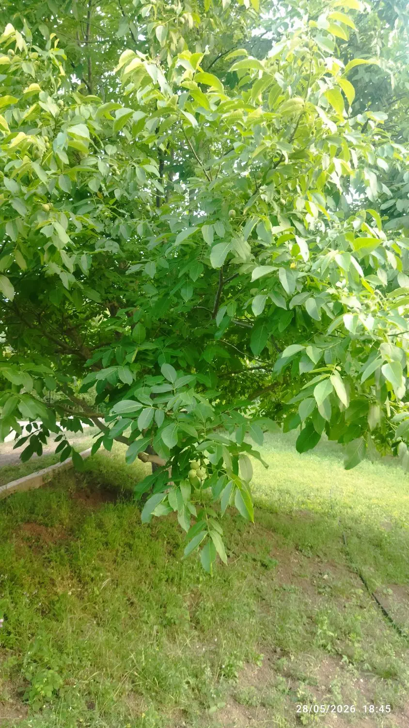 فروش زمین