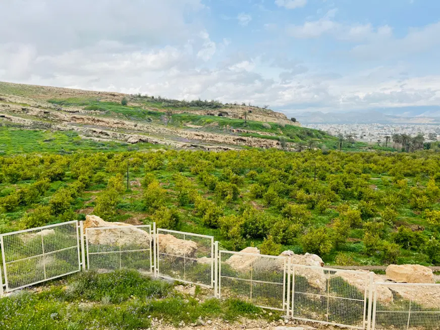 فروش زمین ملکی