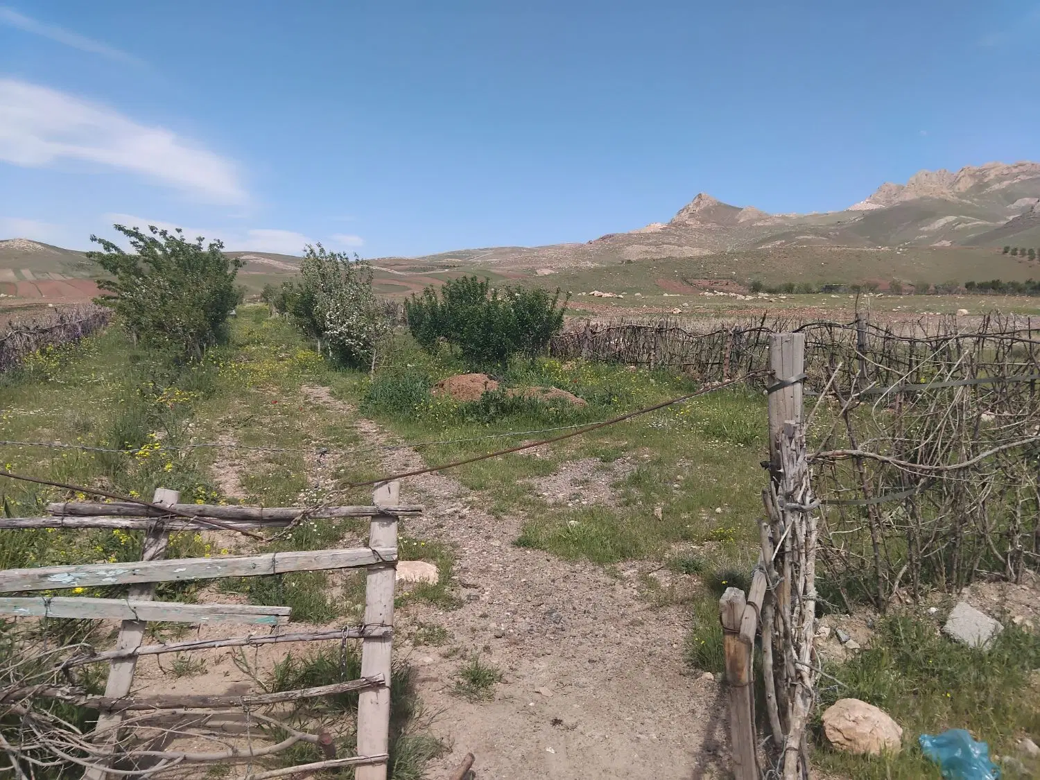 باغ روستای چهر