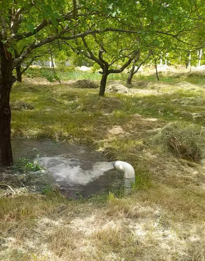 باغ الوان