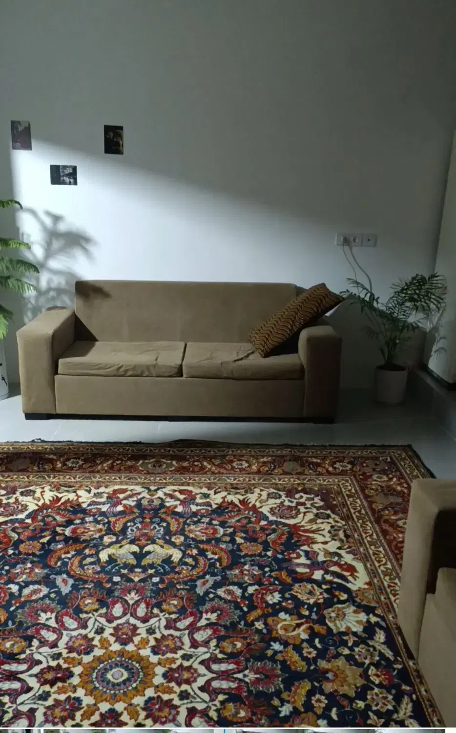 اجاره سوییت جنگلی