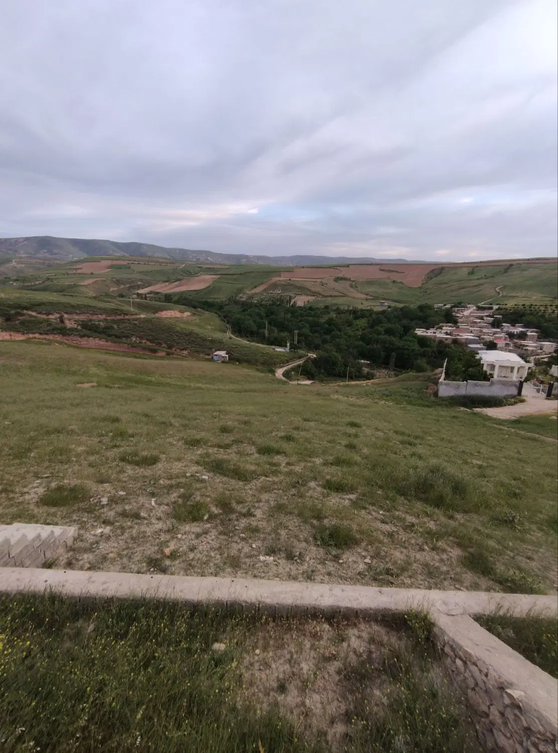 زمین در محیطی ارام