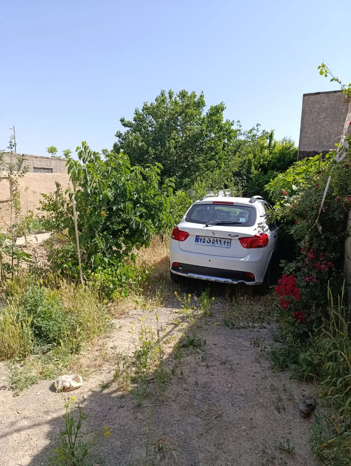 خونه باغ روستایی
