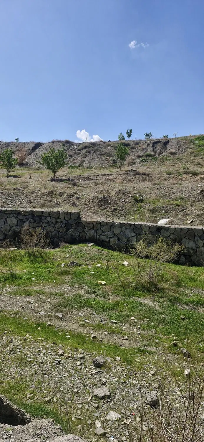 زمین باغی سند تک برگ در طرقبه