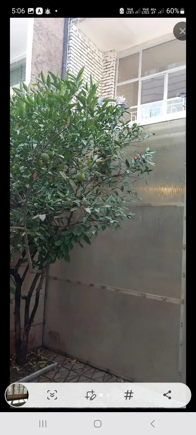 اجاره مغازه ۳۰متری مناسب انواع مشاغل