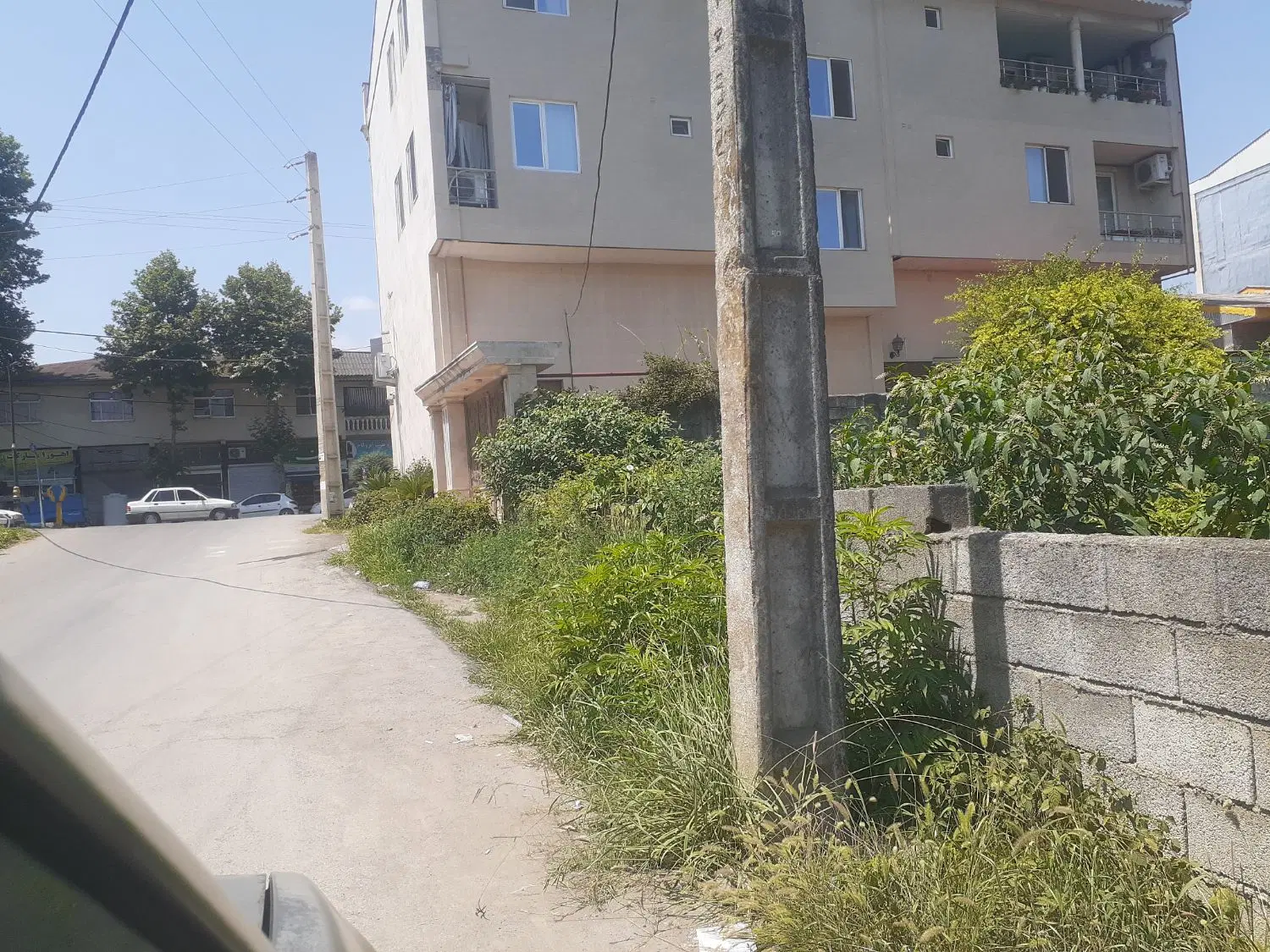 زمین