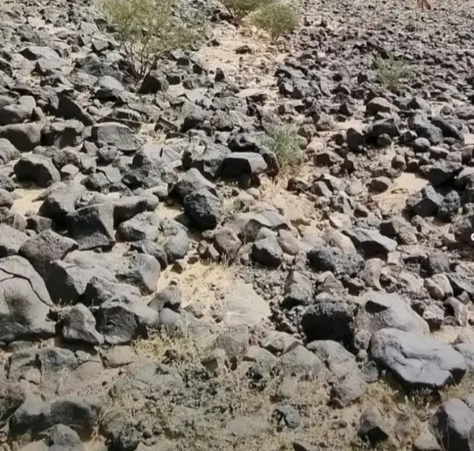 زمین تجاری جهاد