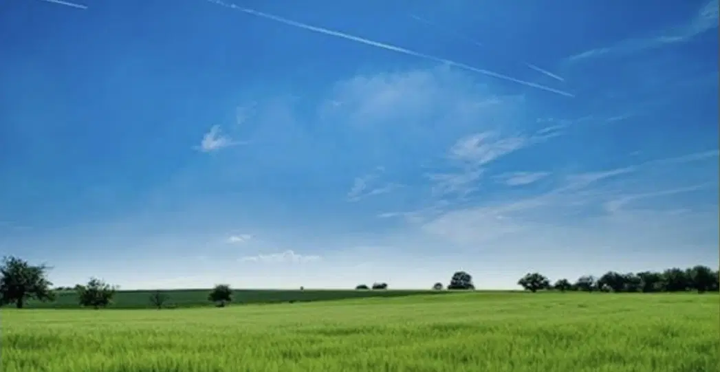 زمین کلنگی