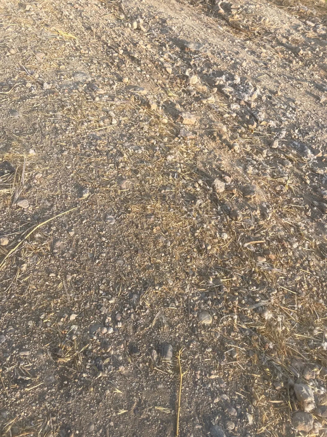 زمین حسین اباد قبله