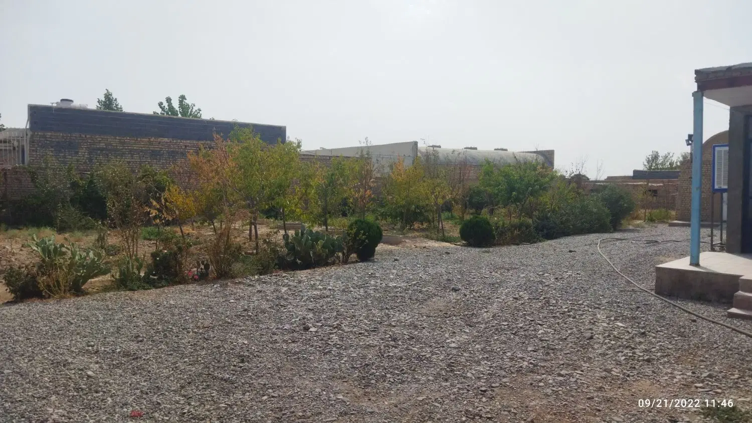 باغچه فروشی