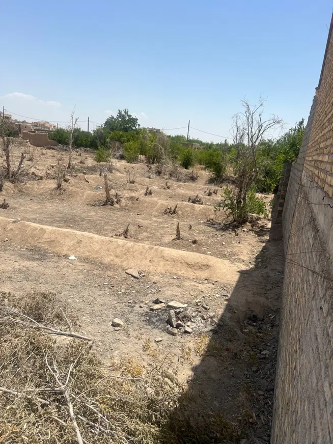 فروش زمین باغی تفت