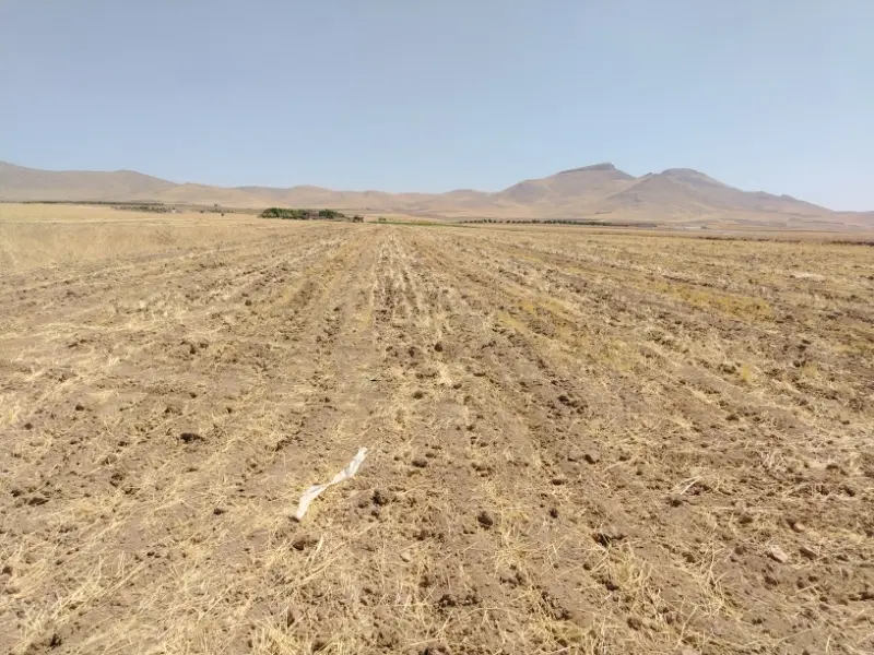 زمین خانه باغ ارزان قیمت ینگیجه