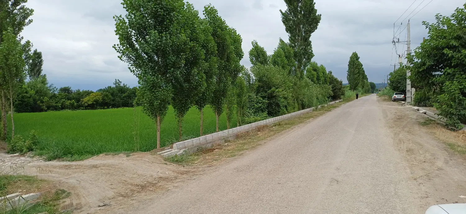 2800 متر زمین کشاورزی در انارستان (گنج افروز)