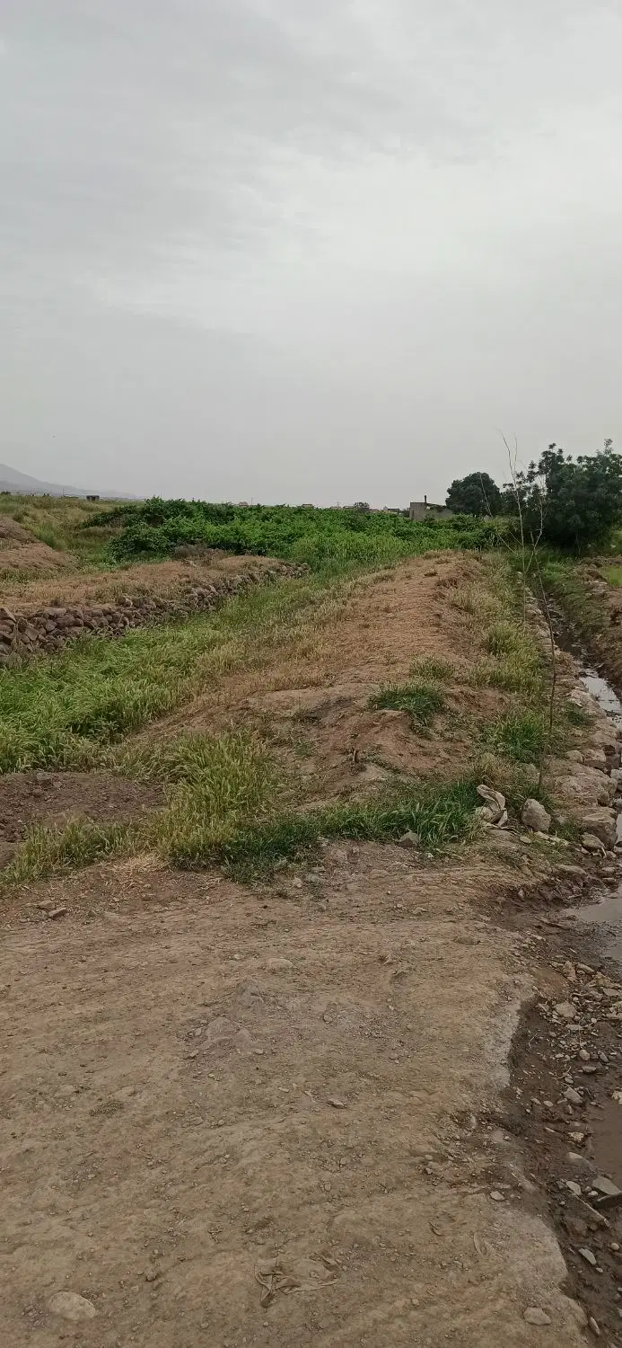 زمین در صومعه